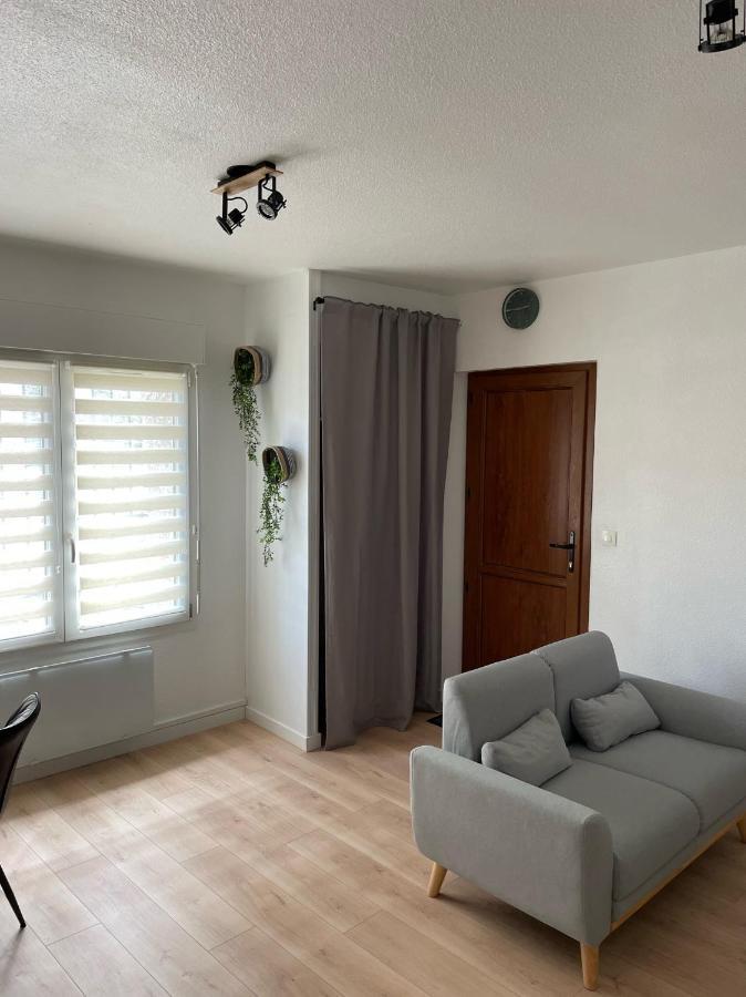 Appart Avec Chambre Lumineux Et Chaleureux Le Boulou Exterior photo